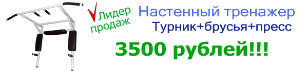 Настенные турники и брусья