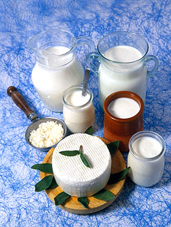 Молочные продукты Молочные продукты