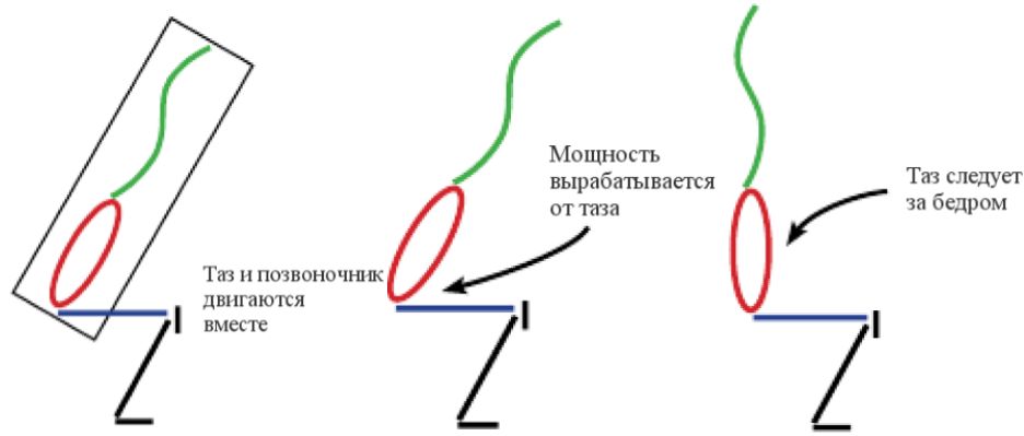 О биомеханике в кроссфите
