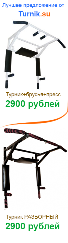 Дешевые турники
